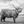 Load image into Gallery viewer, Henry the Highland Coo - print