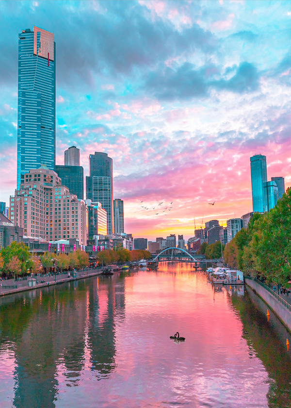 TEA TOWEL -  ROMANCE ON THE YARRA