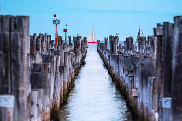 DAY 250 - SAILBOAT AT PRINCES - PRINT